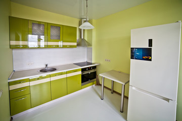interior of a modern kitchen in light green tones with modern appliances