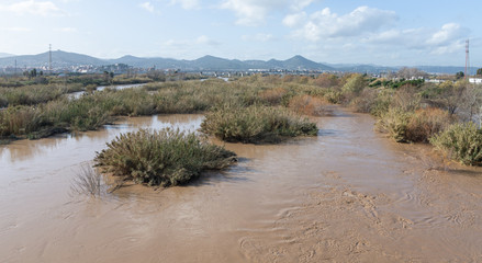 Flooded river, floods in the city, climate change