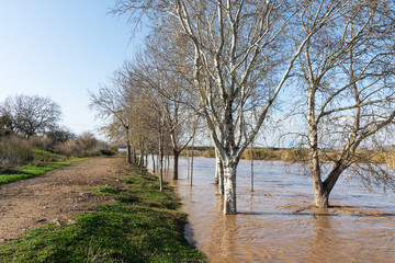 Flooded river, floods in the city, climate change