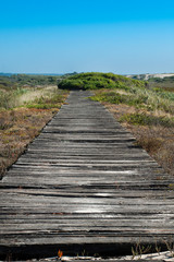 Camino de madera sobre dunas en playa