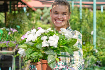 Fototapeta premium Young woman gardening in greenhouse.She selecting flowers.