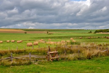 rural landscape with hay bales