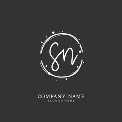 Handwritten initial letter S N SN for identity and logo. Vector logo template with handwriting and signature style.