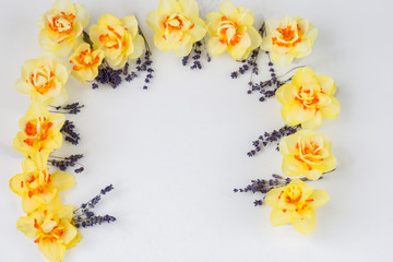 the arch is lined with daffodils and lavender