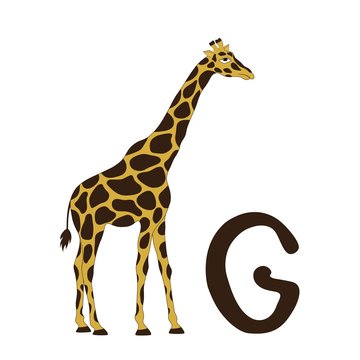 G for giraffe