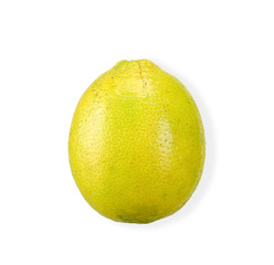 Lime isolated on white clipping path