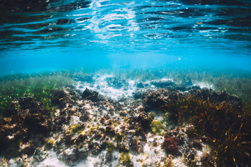 Naklejka na ściany i meble Underwater view of tropical transparent ocean