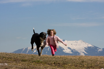 mein Freund der Hund
