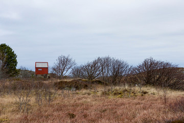 Small cottage in the field