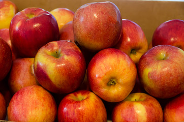 Fototapeta na wymiar Fresh red apples are ready for the team.