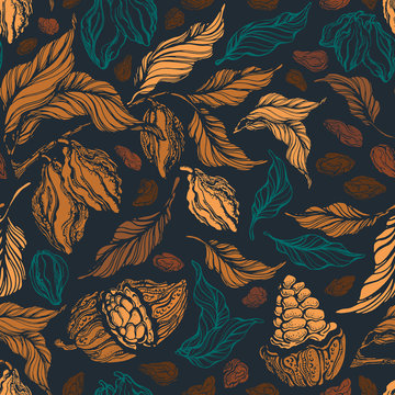 Cacao seamless pattern. Vector vintage background