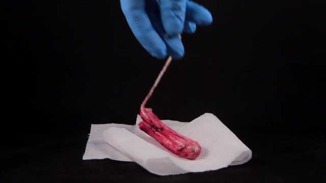 close up of a used female sanitary towel tampax that is deposited on white original paper with blue medical gloves on a black background