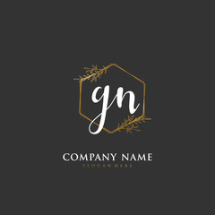 Handwritten initial letter G N GN for identity and logo. Vector logo template with handwriting and signature style.