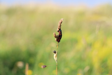 Hanging on
