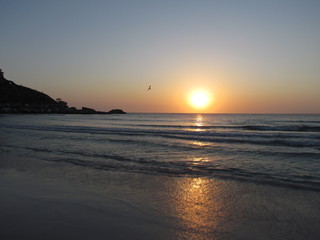 Watching the seagulls in the late spring afternoon