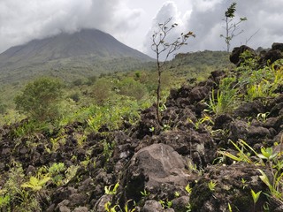 Hiking Trail called 1968 with spectacular views on Arenal, Tropical trail near La Fortuna, Costa...