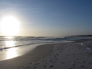 Watching the multicolored late spring