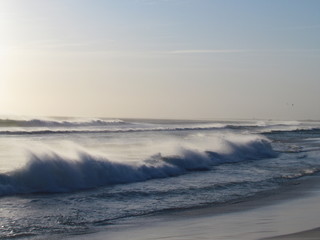 Watching the multicolored late spring