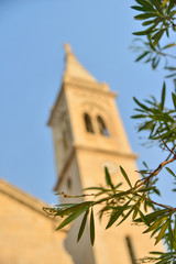 Church in background with olive leaves