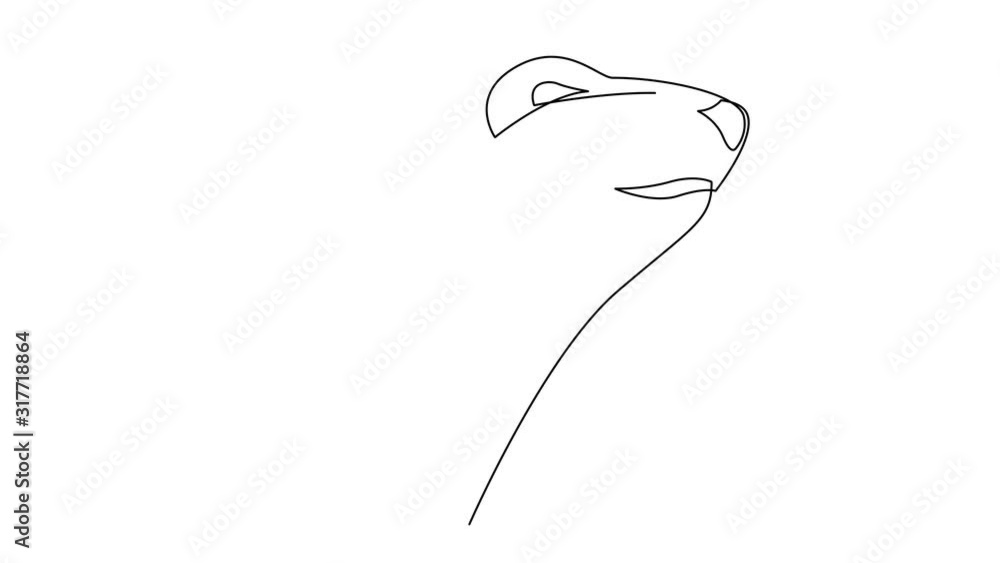 Poster self drawing simple animation of single continuous one line drawing of bear. polar bear drawing by h