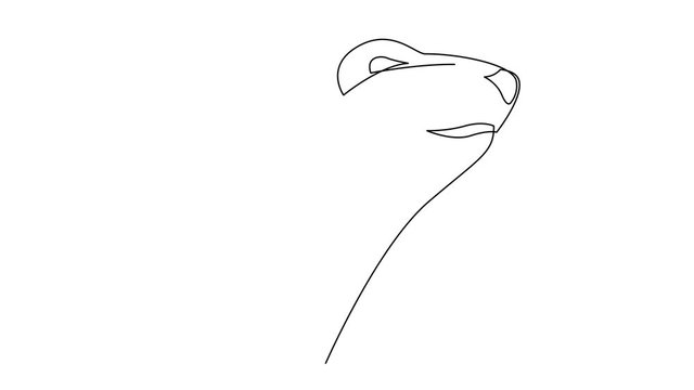 Self drawing simple animation of single continuous one line drawing of bear. Polar bear drawing by hand, black lines on a white background.