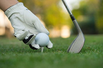 Hand putting golf ball on tee in golf course.