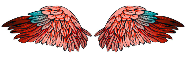 Beautiful magic bright reddish pink wings with turquoise feathers, hand drawn vector