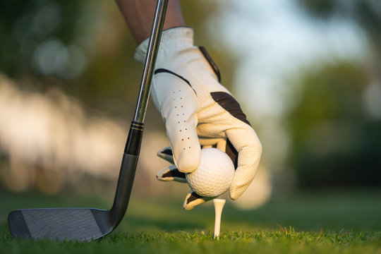 Hand putting golf ball on tee in golf course.