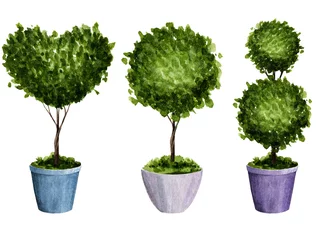 Aquarellset Topfblumen. Frühlingsillustration von Topfblumen in Form eines Herzens und einer Kugel. © Siawi_art