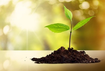 Grow.