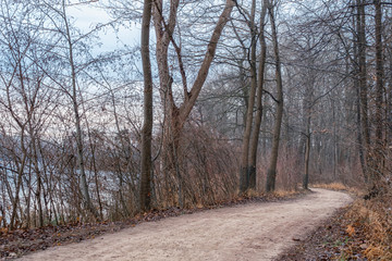 wald sonne winter spaziergang deutschland natur see weg