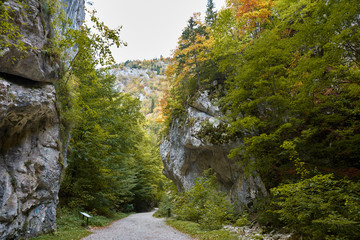 Fototapeta na wymiar Gorge Zarnestiului Prapastiei in Carpathian Mountains, Zarnesti, Romania. Nature preserve Piatra Craiului National Park. The walkway among the rocks, autumn.
