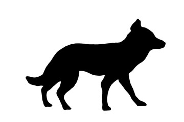 Black silhouette of a wolf on a white background looking forward.