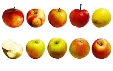 .Ten apples in different angles on a white background of different colors.