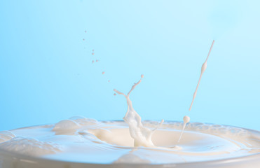 splash on the surface of white milk on a blue background