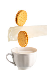 two cookies fall in a mug with milk and a splash on a pink, red or yellow background
