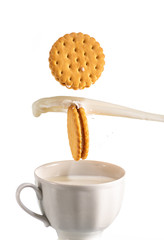 two cookies fall in a mug with milk and a splash on a white background