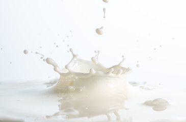 splash on the surface of white milk on a white background
