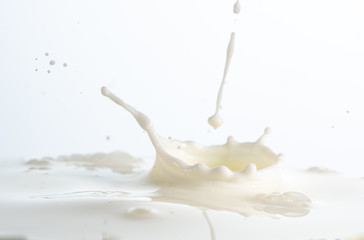 splash on the surface of white milk on a white background