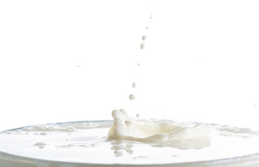 splash on the surface of white milk on a white background