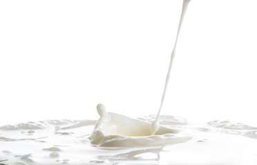 splash on the surface of white milk on a white background