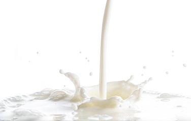 splash on the surface of white milk on a white background
