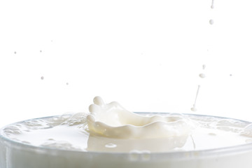 splash on the surface of white milk on a white background