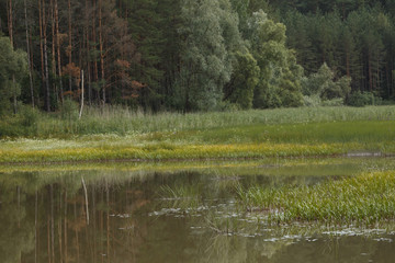 Reflection of the landscape in the pond.
