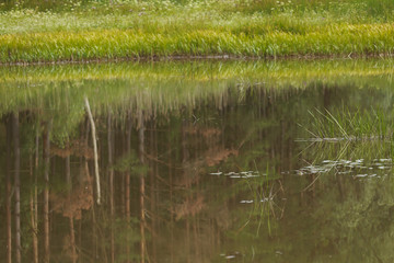 Reflection of the landscape in the pond.