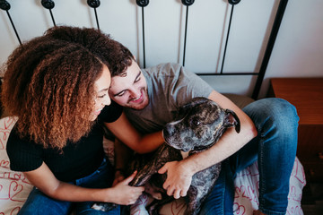happy couple in love at home. Afro american woman, caucasian man and their pit bull dog together....
