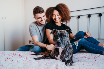 happy couple in love at home. Afro american woman, caucasian man and their pit bull dog together....