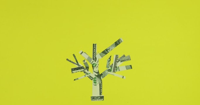 Application Stop Motion. Symbol Plant Tree Made Of American Dollars Business And Finance Concept.