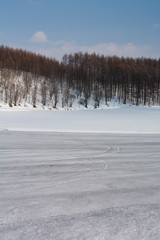 Fototapeta premium 融雪剤がまかれた雪の畑