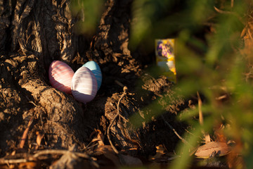 Easter egg hunt, outdoors nature 
